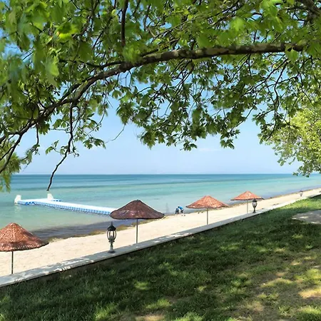 Semesteranläggning (resort) Rizom Tatil Koyu