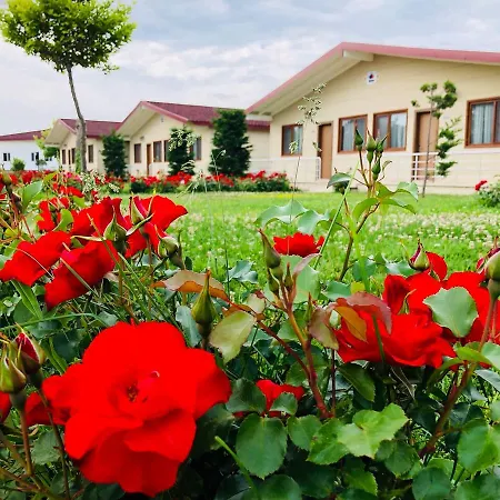 Rizom Tatil Koyu