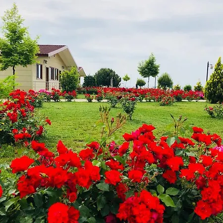 Station touristique Rizom Tatil Koyu *